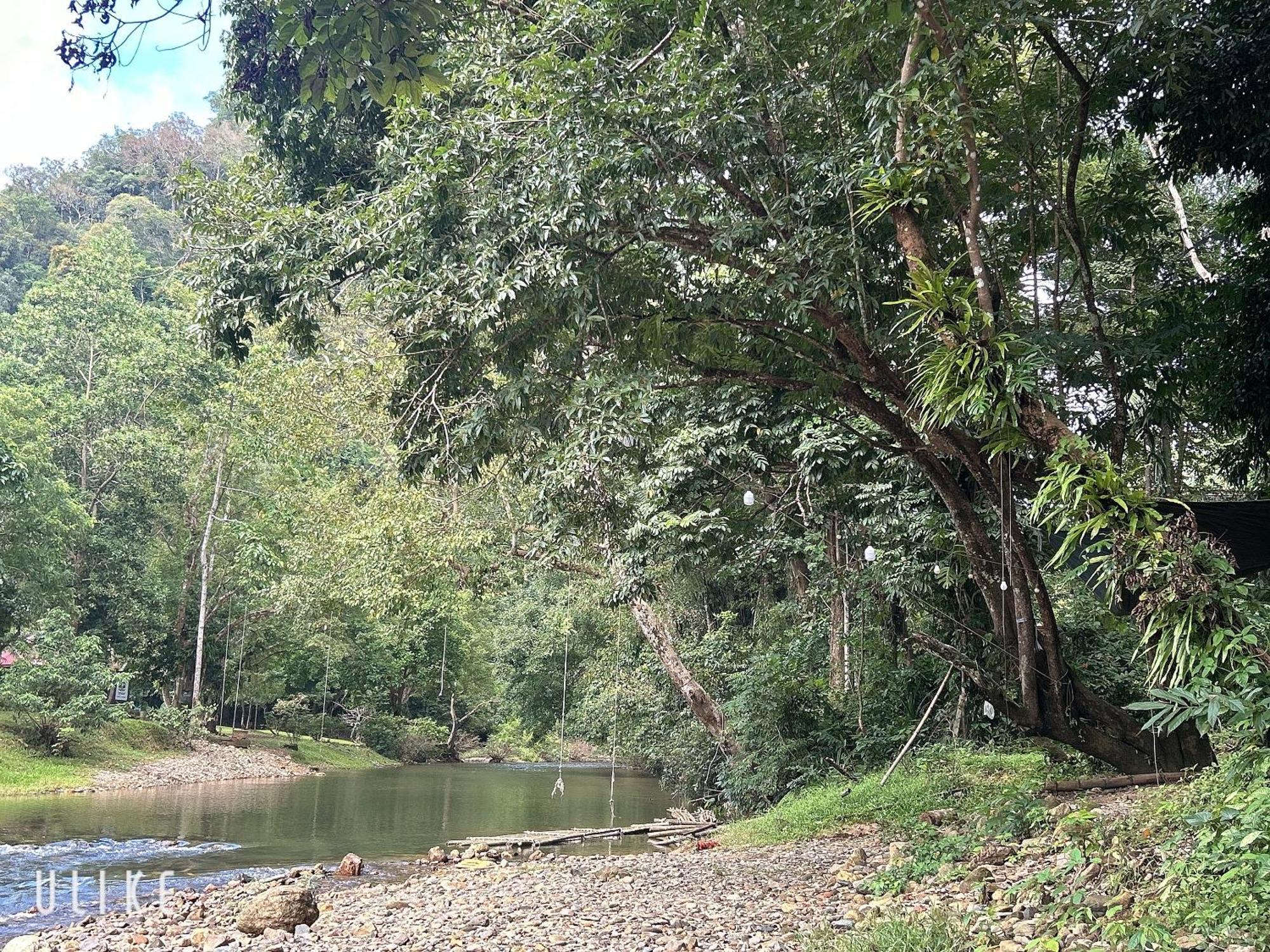Отель Khaosok August Freedom Camp Khao Sok National Park Экстерьер фото